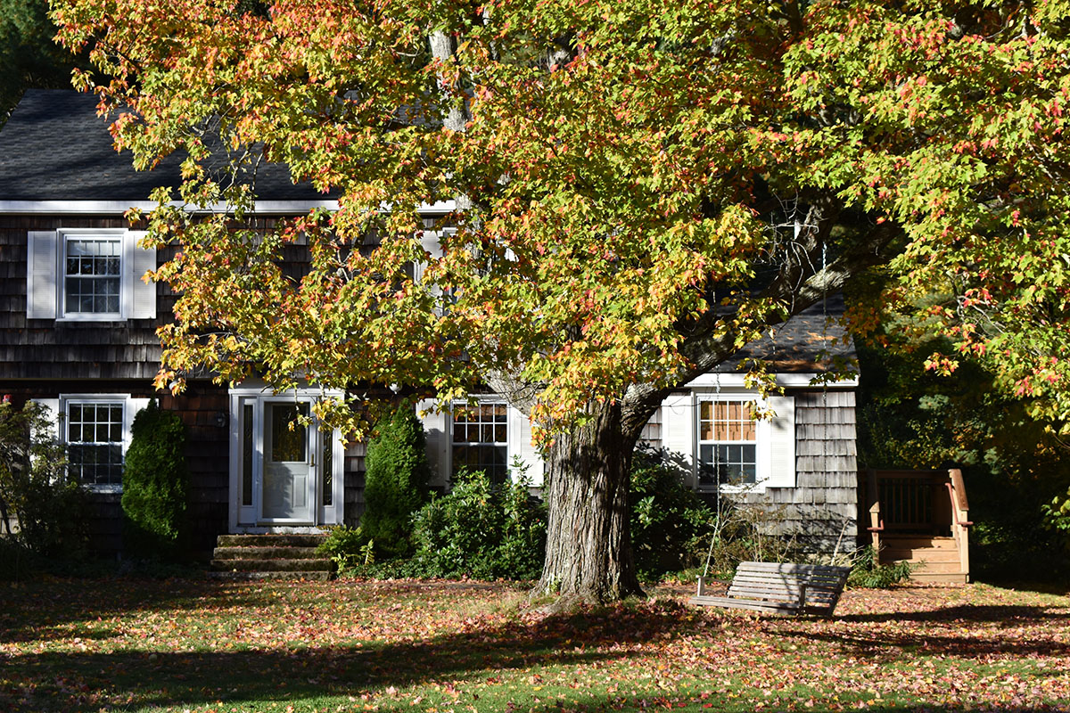 New England Eating Disorders Program Sweetser